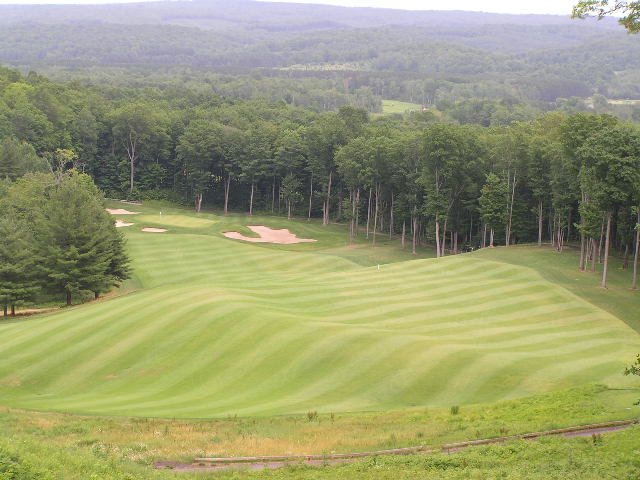 One Bearded Golfer tweet media