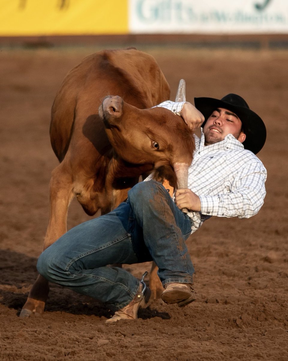 Harley Warrick tweet media