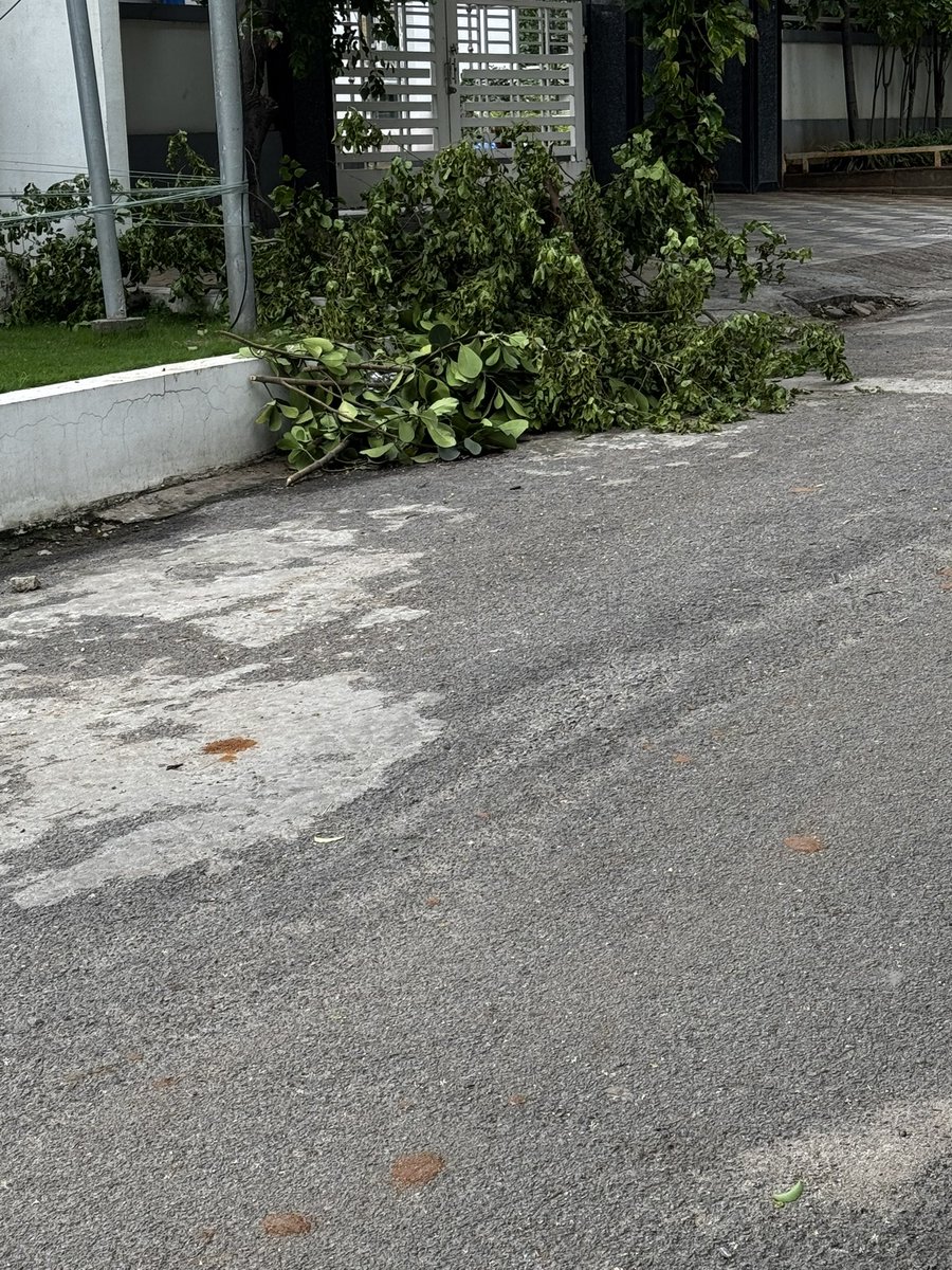 rameshdatla's tweet photo. @tgspdcl Telangana Southern Distribution Company Ltd is chopping trees and not clearing the debris. This is happening every year. The photos below are from Road 13A, Jubilee Hills. https://t.co/ffTxUntp9F