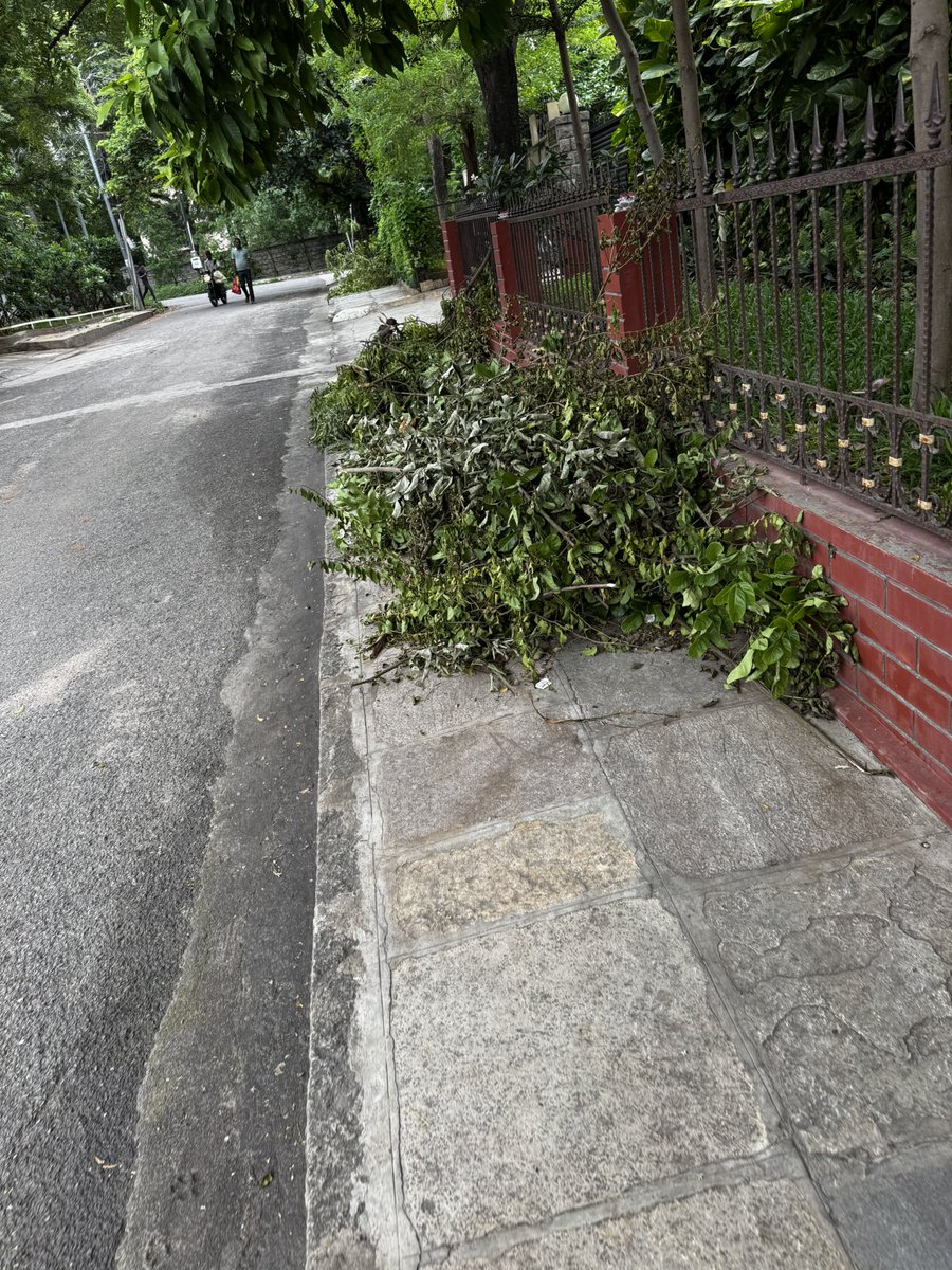 rameshdatla's tweet photo. @tgspdcl Telangana Southern Distribution Company Ltd is chopping trees and not clearing the debris. This is happening every year. The photos below are from Road 13A, Jubilee Hills. https://t.co/ffTxUntp9F