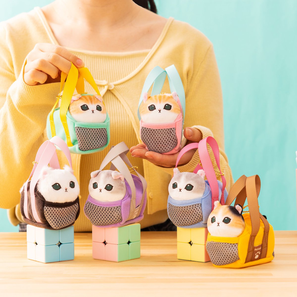 mofusandもふもふマーケット公式 on X