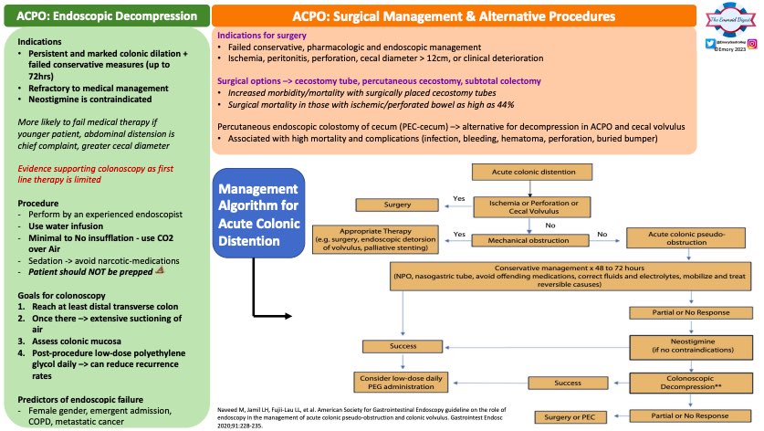 Emory Gastroenterology and Hepatology Fellowship (@emorygastrohep) on Twitter photo ๐ฅ๐ฅ Emoroid Digest ๐ฅ๐ฅ
Colonic volvulus? Acute Colonic Pseudo-Obstruction aka Ogilvieโs? Check out Dr. Abrahamโs (@DrFiyin) visual summary of <a href="/ASGE/">Aslak Gottlieb</a> guidelines on role of endoscopy for these colonic phenomena!
#EmoroidDigest #GITwitter #MedTwitter ๐ฅ๐ฅ Emoroid Digest ๐ฅ๐ฅ
Colonic volvulus? Acute Colonic Pseudo-Obstruction aka Ogilvieโs? Check out Dr. Abrahamโs (@DrFiyin) visual summary of <a href="/ASGE/">Aslak Gottlieb</a> guidelines on role of endoscopy for these colonic phenomena!
#EmoroidDigest #GITwitter #MedTwitter