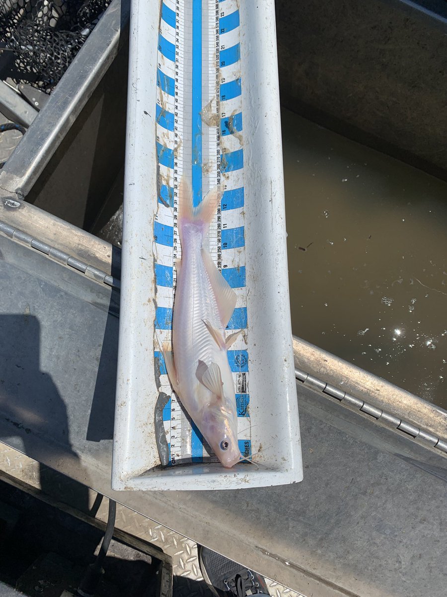 Brett Miller tweet media