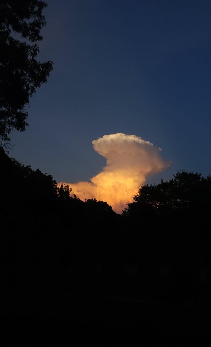 Derek McSwain tweet media