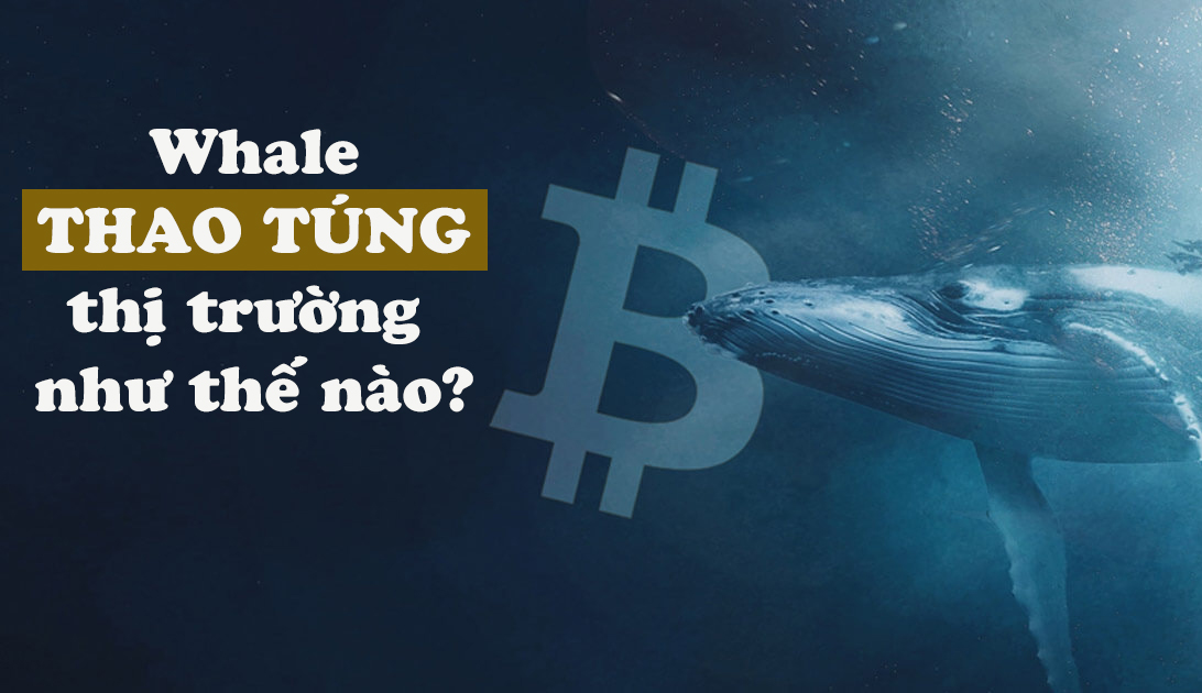 kenly260688's tweet photo. Ae chơi coin chắc ai cũng hiểu: Thị trường luôn bị thao túng bởi các cá voi, cá mập (hay còn gọi là whale)

Đó cũng là lý do tại sao sau mỗi mùa uptrend hầu hết đều thua lỗ, chỉ có số ít, rất ít kiếm được tiền.

Vậy whale thao túng thị trường như thế nào?

👇👇👇