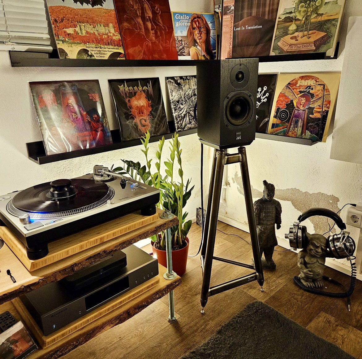Solidsteel_IT's tweet photo. #solidsteel SS Series Speaker Stands in a wonderful music space. The SS Series are renowned as the best support for bookshelf speakers worldwide. 
#hifi #hifirack #highendaudio #highfidelity #audiophile https://t.co/BXi2mtb0NF