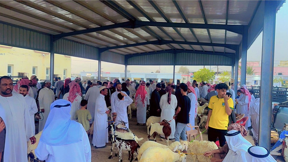 بني بحير بلقرن tweet media
