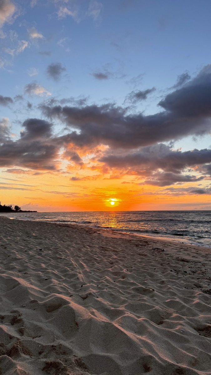 Live in the sunshine, swim the sea, drink the wild air.