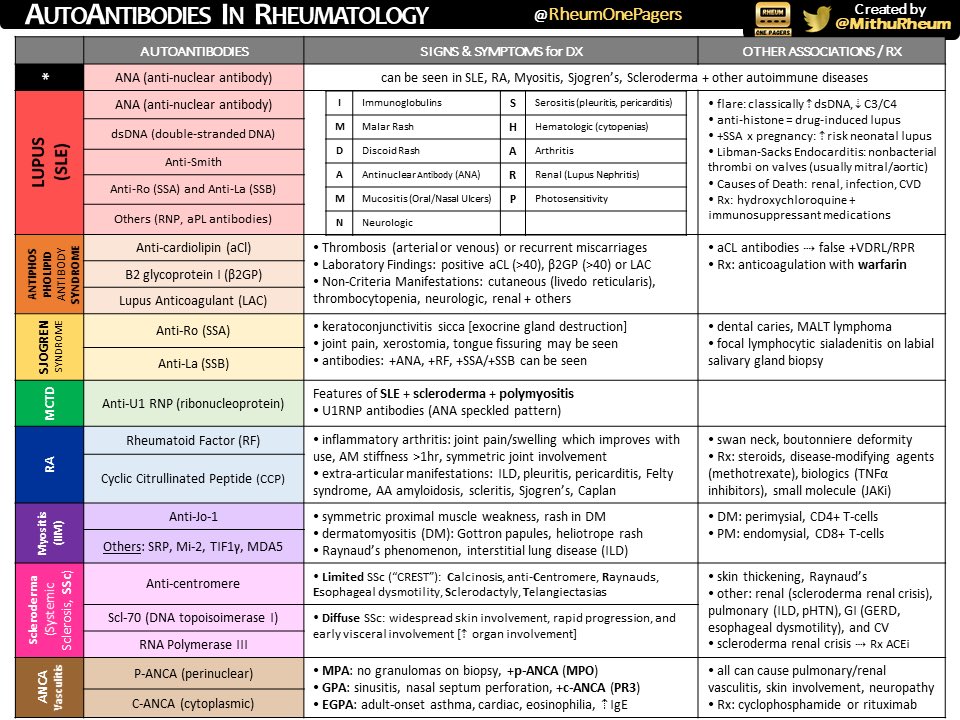 Dr Ai Lyn Tan (@drailyntan) on Twitter photo A really nice table on #autoantibodies in #Rheumatology
By <a href="/MithuRheum/">Mithu Maheswaranathan, MD</a> <a href="/RheumOnePagers/">Rheum OnePagers</a> A really nice table on #autoantibodies in #Rheumatology
By <a href="/MithuRheum/">Mithu Maheswaranathan, MD</a> <a href="/RheumOnePagers/">Rheum OnePagers</a>