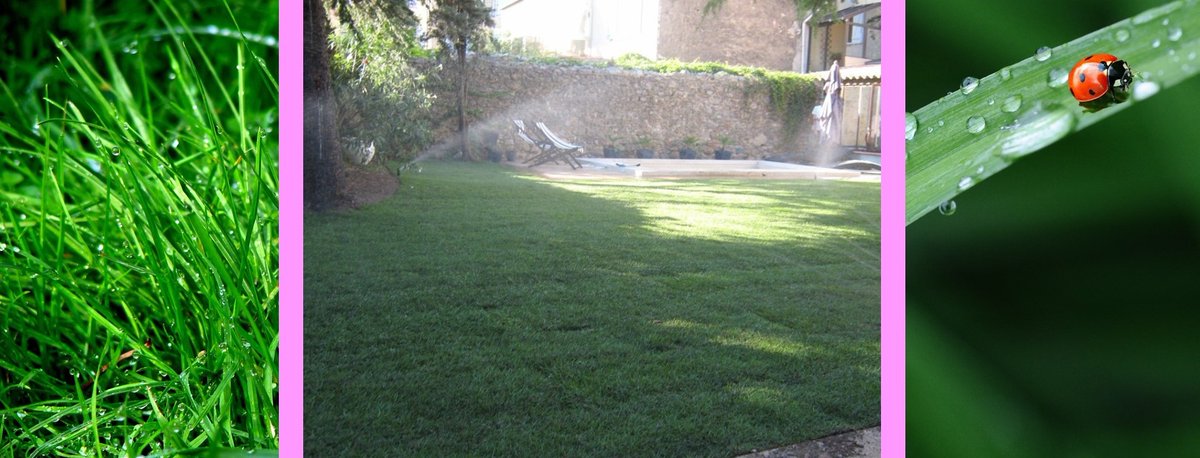 🌼Arrosage automatique🌼 = 🕒économie de temps🕒 (pour vous) + économie d'eau💧(pour la planète)
Pour votre devis gratuit, c'est par ici : jadeespacesverts.com/contact