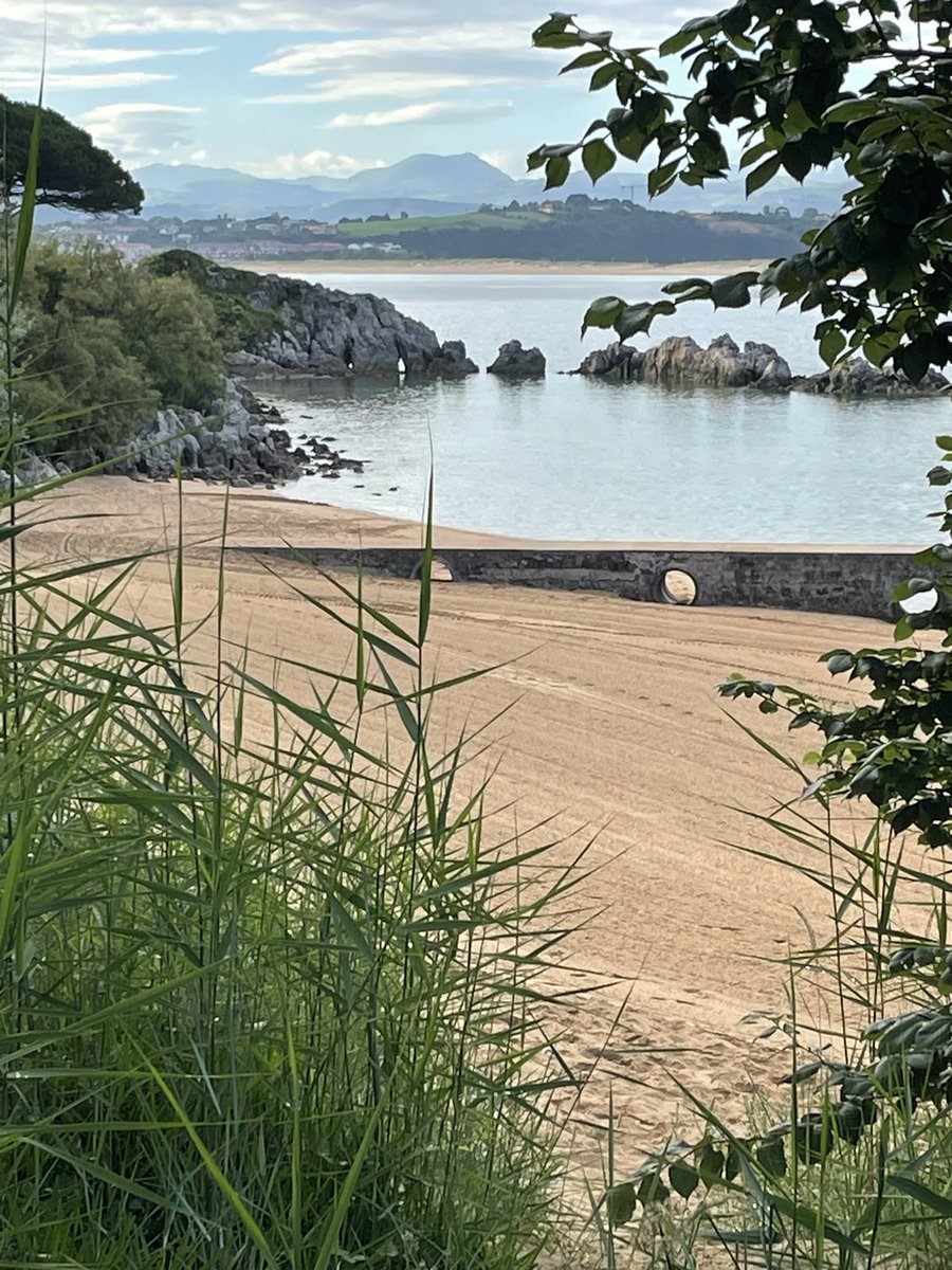 daniel truran tweet media