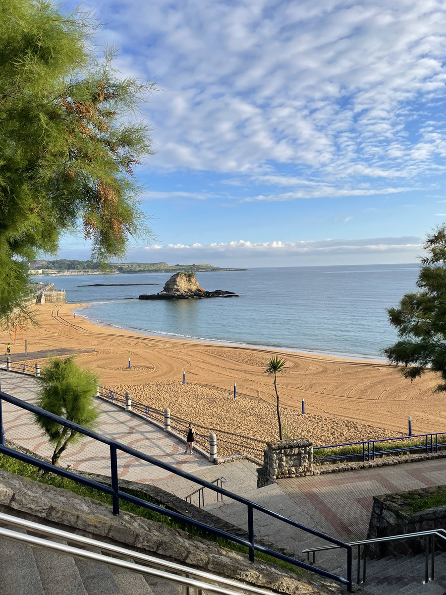 daniel truran tweet media