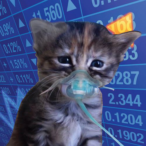 HopiOnSol's tweet photo. We're live on pump: 

2VXegPqYCciT5G7Zttqz3q2D9MW1QmRLerkp2fsSpump https://t.co/VCcadxWr1o