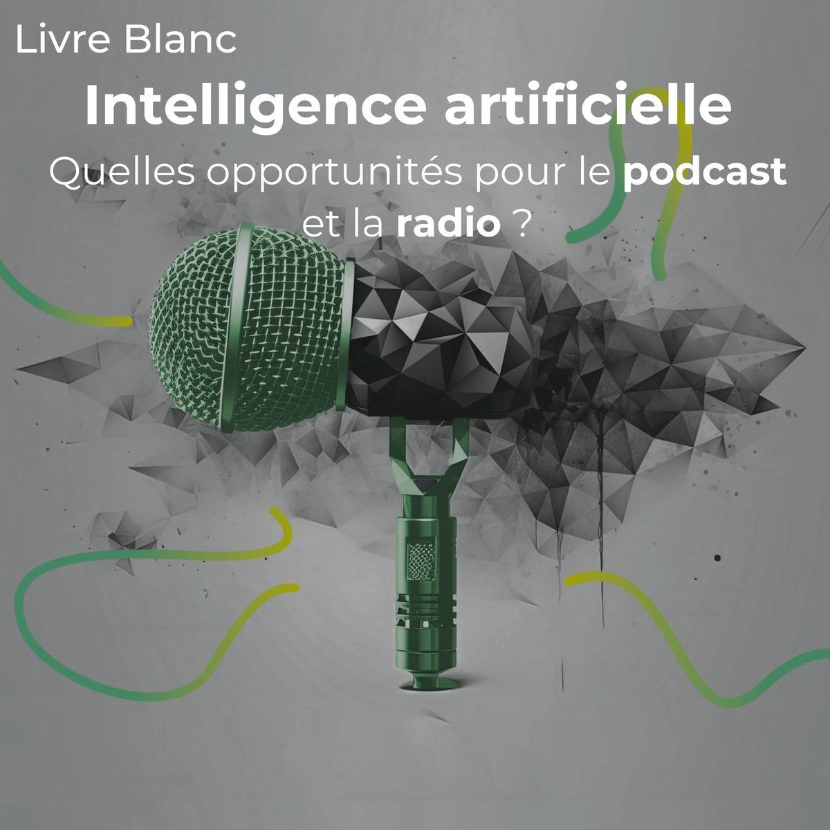 #SAOOTI | L'avez-vous déjà lu ? 📖

✨ Redécouvrez notre livre blanc : "Intelligence Artificielle : quelles opportunités pour le Podcast et la Radio?"

👉 urlr.me/swpJ7

#IA #podcast #audio #strategie #communication