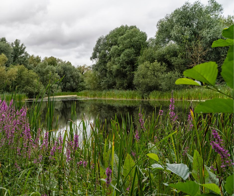 TheParksTrust tweet picture