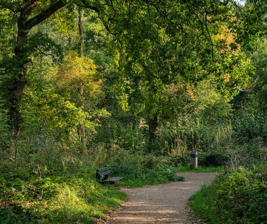 TheParksTrust tweet picture