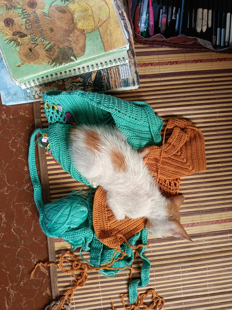 tilacrochet's tweet photo. He loves crochet too 😆💕 https://t.co/fCTqL98aNe