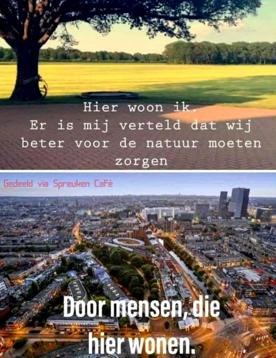 Wim den Oudsten (@wimdenoudsten) on Twitter photo 