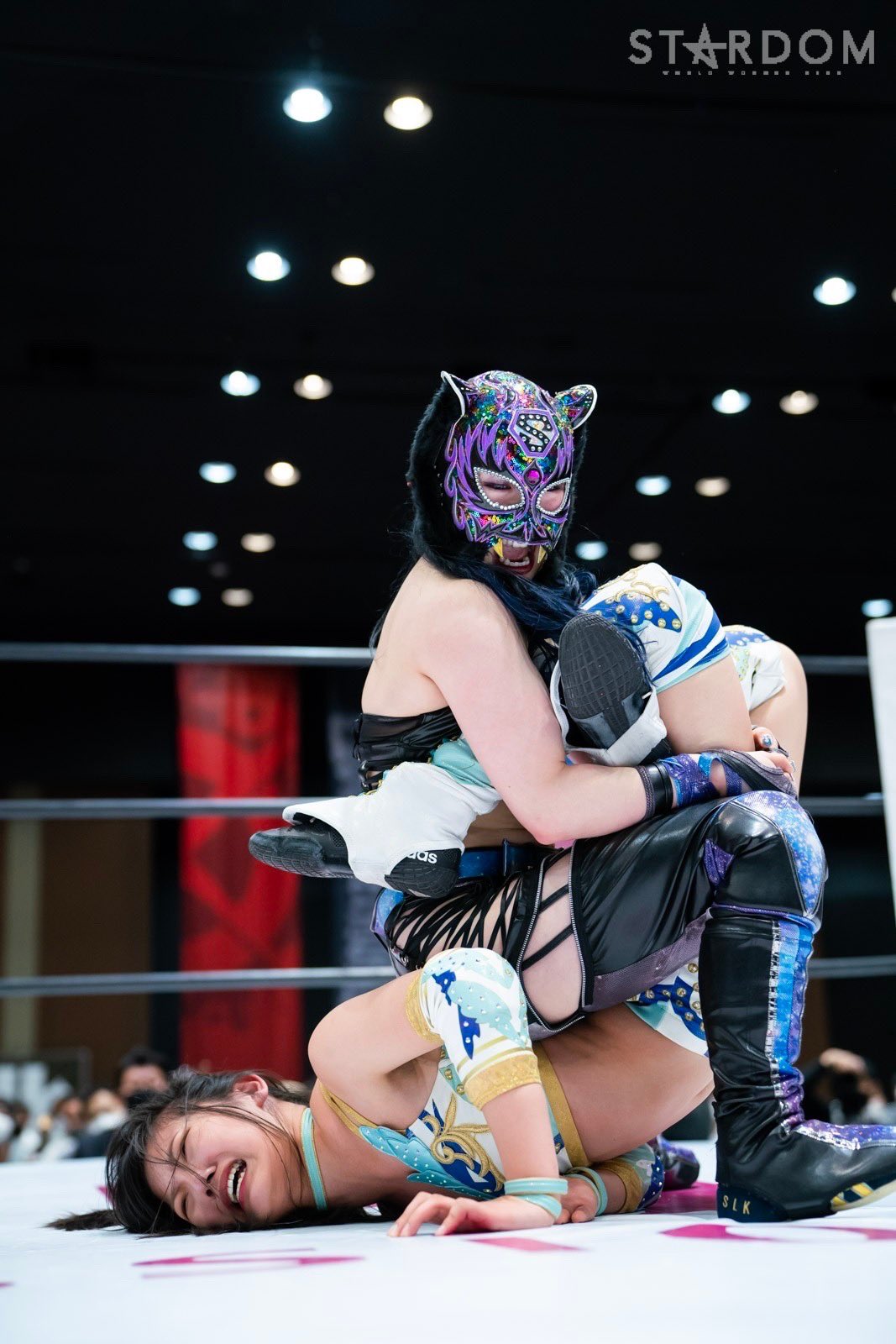 スターダム💙スターライト・キッド🐯🤍 on X: 