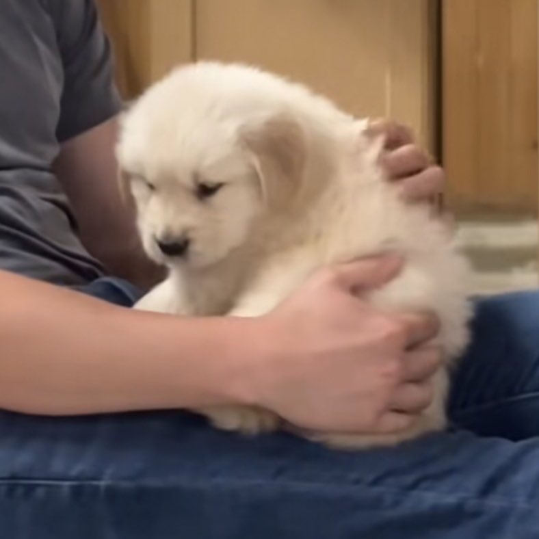 ไม่รักก้ได้ แต่ไม่ต้อมพุด เสียใจ