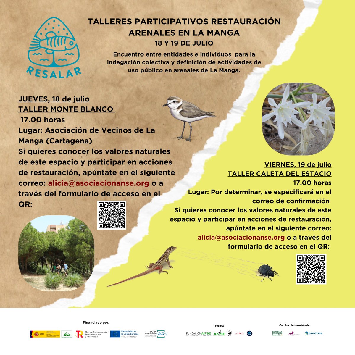 El 18 julio TALLER MONTE BLANCO 17.00 horas
En: Asociación de Vecinos de La Manga (Cartagena) apúntate por correo: alicia@asociacionanse.org o a través del siguiente formulario:  forms.gle/uAZJoM8VbFCsvj…
El 19 julio TALLER CALETA DEL ESTACIO 17.00 horas, forms.gle/rAsRh3JuTE4czT…