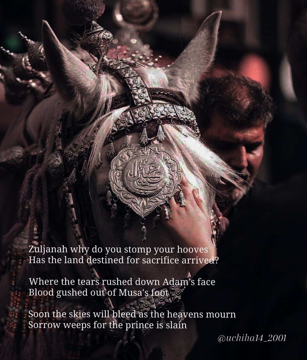 uchiha14_2001's tweet photo. arrival in Karbala' https://t.co/UlLqaYR2bN