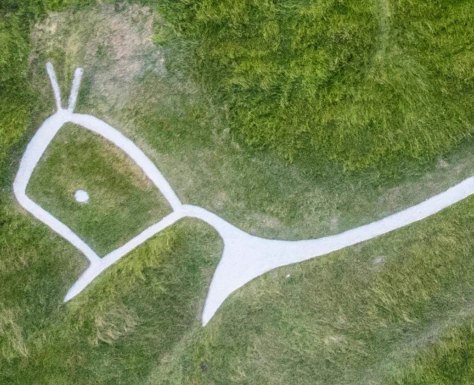 The head of the Uffington White Horse turned upside down looks like an angry chicken.