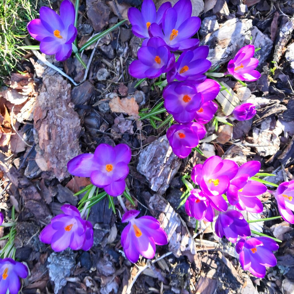 KemnayC's tweet photo. Prayer for Today -  https://t.co/7FJTDCeGAF 

Lord create in me a clean heart, rid me of meanness, petty mindedness and fill me with compassion for all creation. https://t.co/pNskWh4D6G
