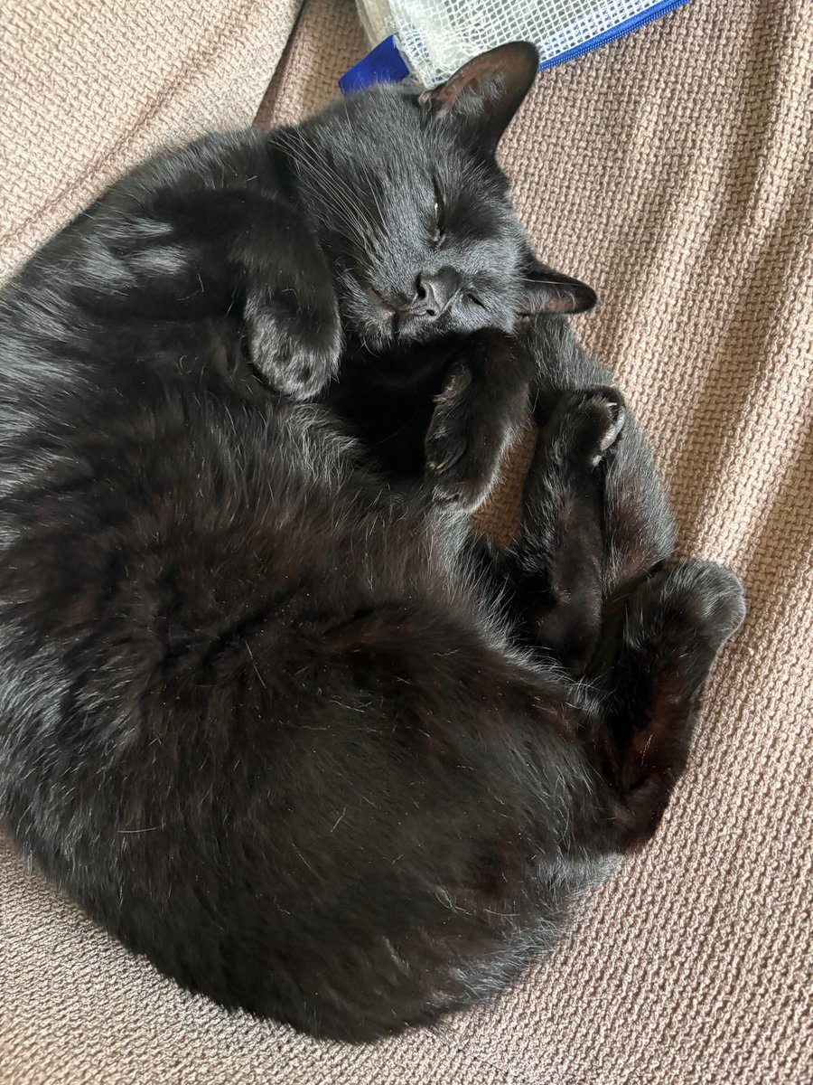 Beth Stuart tweet media