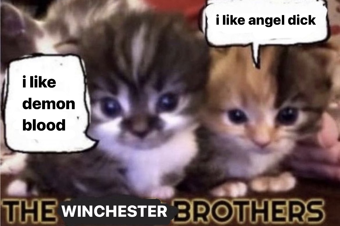 arlo 𐕣 9-1-1 SPOILERS (@cunty4ckles) on Twitter photo 