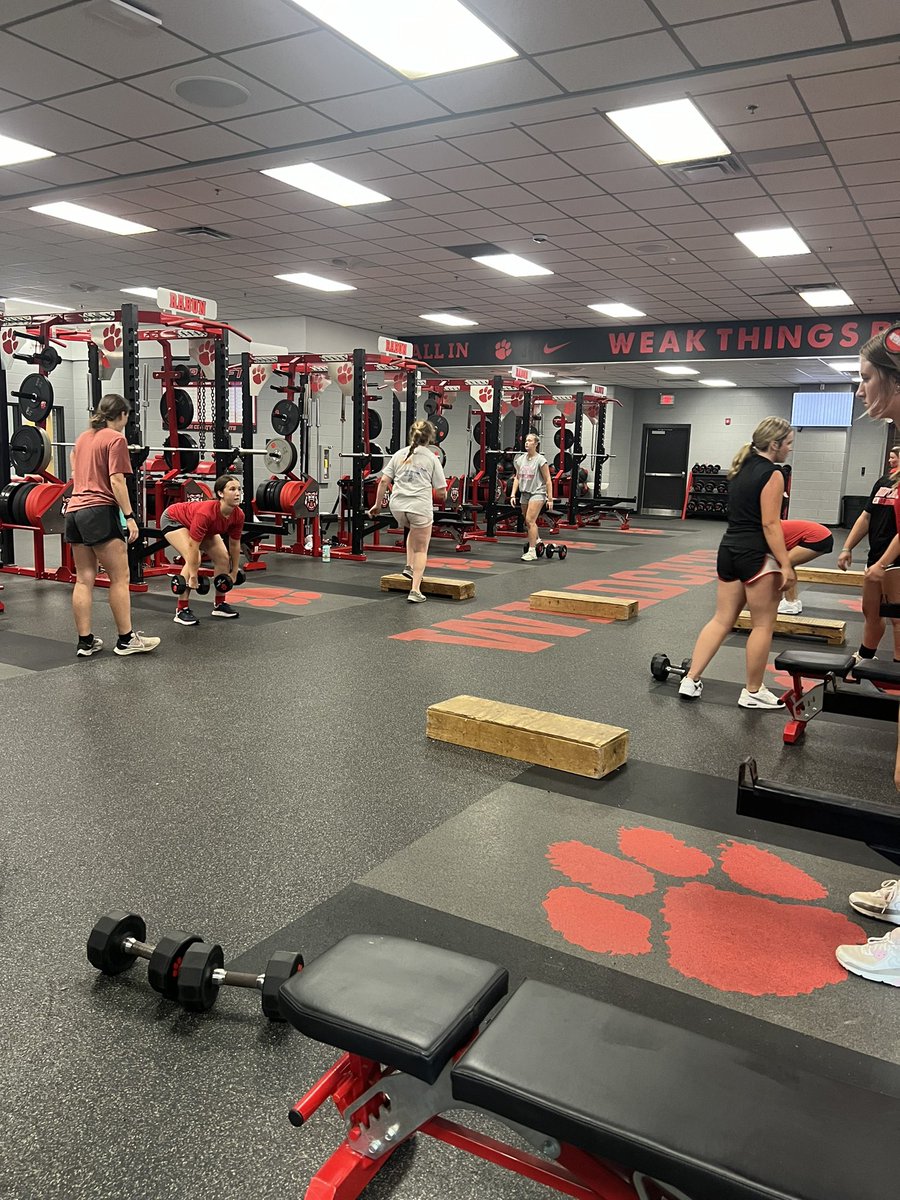 RabunSoftball's tweet photo. CATS getting it in….💪🏼💪🏼💪🏼 https://t.co/ECGz3zEtOY