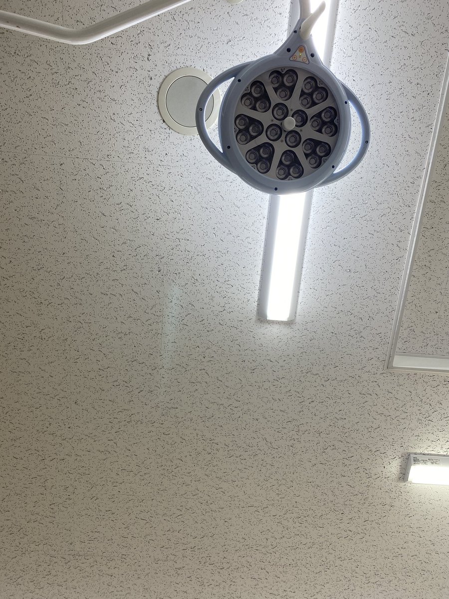 uke_cycle's tweet photo. 実は先週の雷山トレのあと降りで落車して右脚の大腿部頸部を骨折。救急車に運ばれて入院中です。幸い自転車はハンガーとハンドルが曲がったくらい？
手術は既に終えてますが、右脚がほとんど動かず身動きが取れない状況なので、今後はリハビリに専念。また歩けるように...椿はたぶんリタイアします https://t.co/koDfgXtIYa