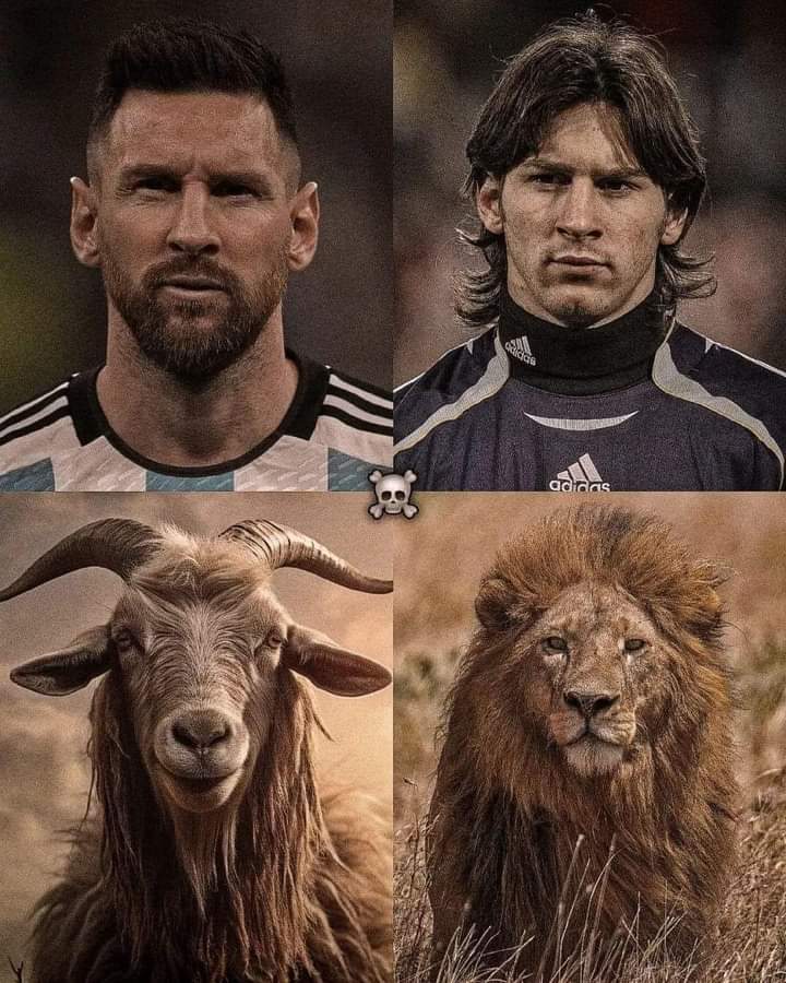 jokosynthesis's tweet photo. @AFASeleccionEN THE ENIGMA✨️ https://t.co/LQNbFO9aAT