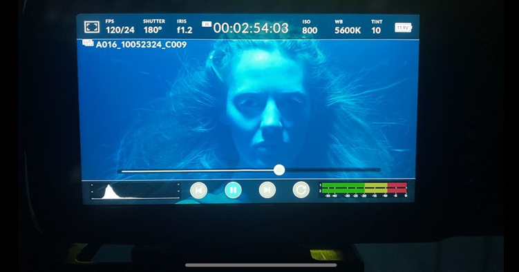 BMA Artists tweet media