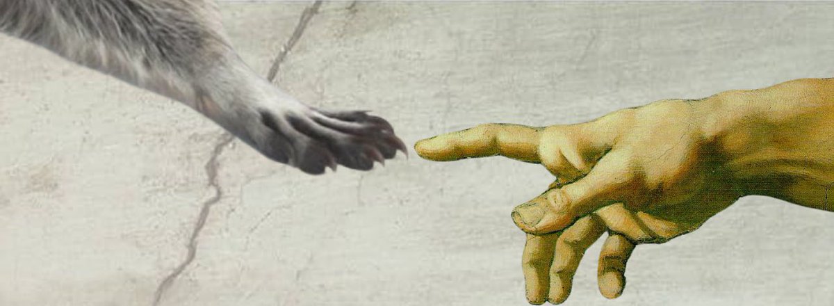 JESUS CHRUST tweet media
