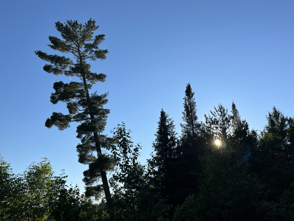 lmjacks2's tweet photo. I paddled 60 miles in 6 days with my sibling and dad in the boundary waters a couple weeks ago. the trip was a ton of fun, here’s a thread of pics from each day :D

June 23, 2024 — Fall Lake to Basswood Lake https://t.co/vW4QHIDZFI
