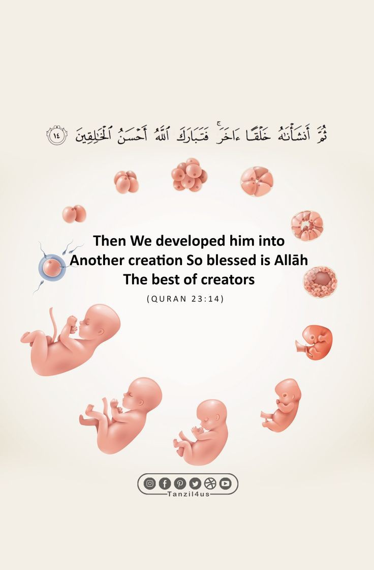 reposts, it will help you💚🕊️