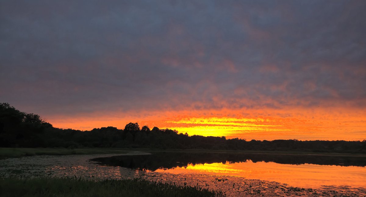 Bird Seeds 🌱 (@birdseeds33) on Twitter photo 