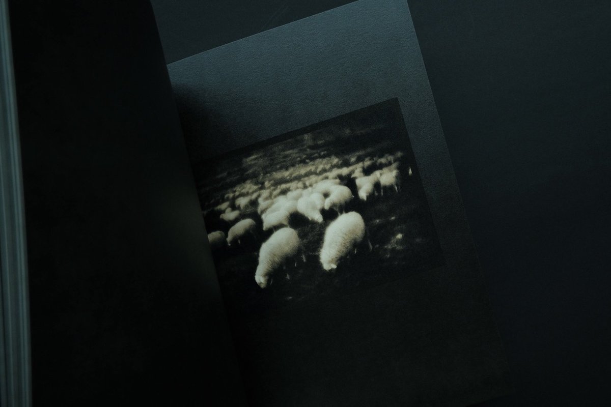 横谷宣 (@YokotaniSen) / Posts / X