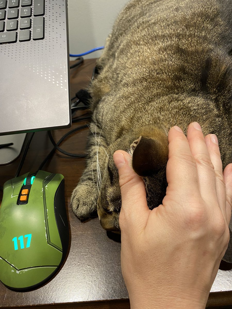 MelsGear's tweet photo. Always next to me. She won again😸 https://t.co/E1KmZg5blS