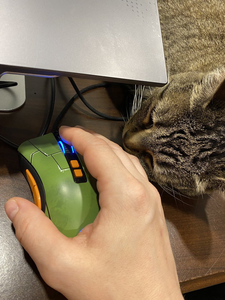 MelsGear's tweet photo. Always next to me. She won again😸 https://t.co/E1KmZg5blS