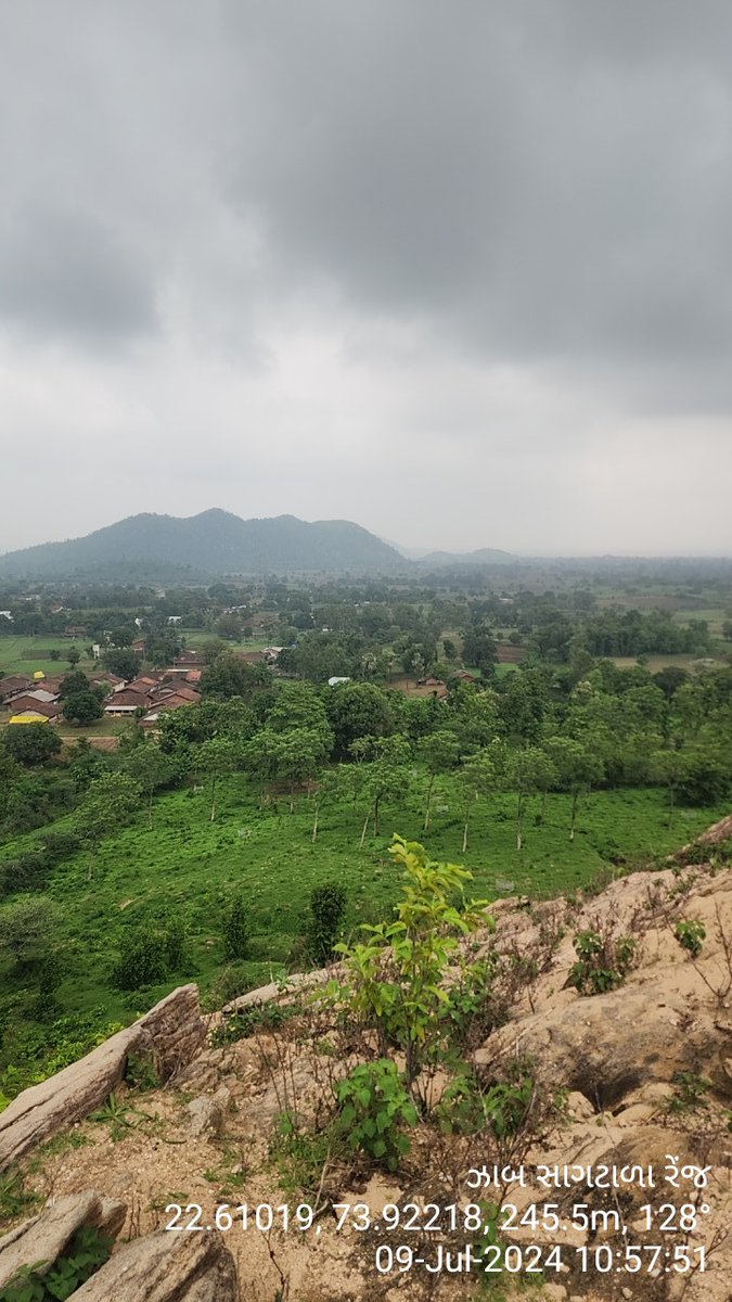 DCFBaria tweet media