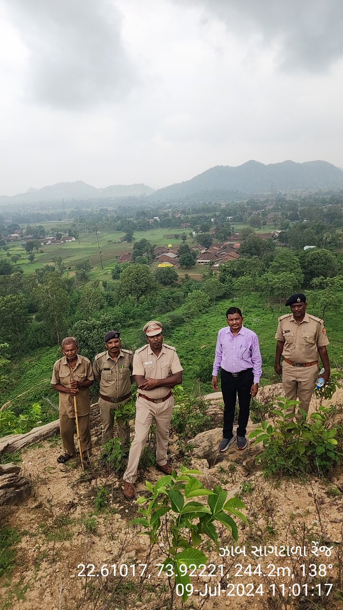 DCFBaria tweet media