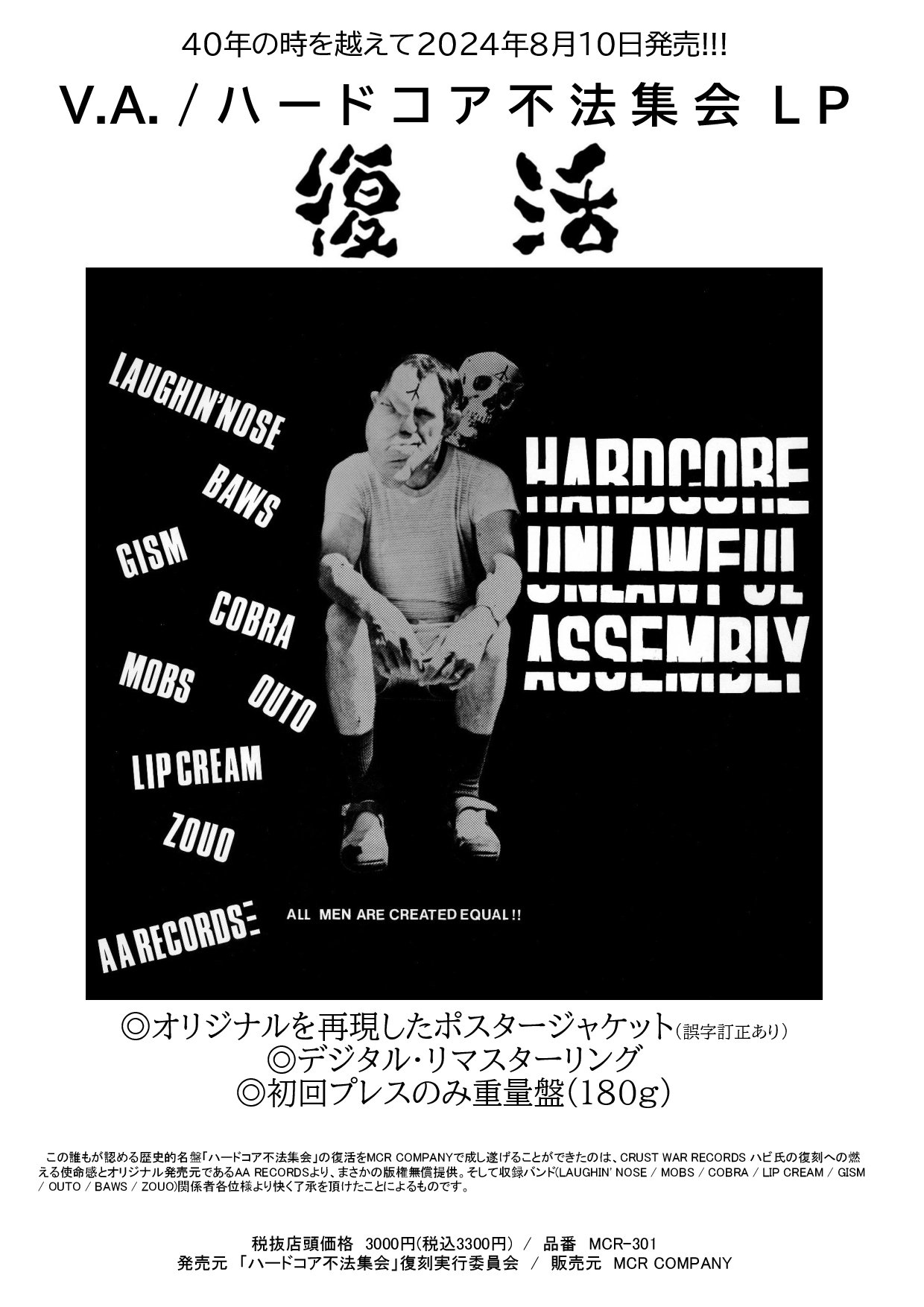 THE VERY BEST OF HERO ハードコア不法集会 LP VA - Hardcore Unlawful Assembly : ハードコア不法集会 (Ltd