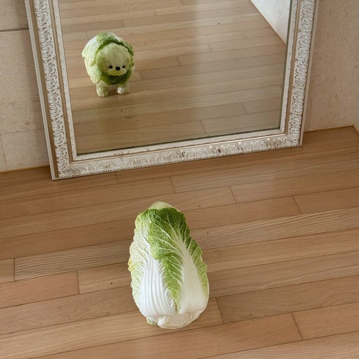  tweet picture