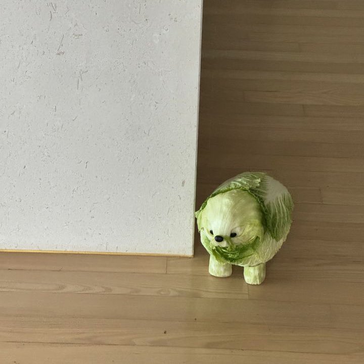 🐶🥬