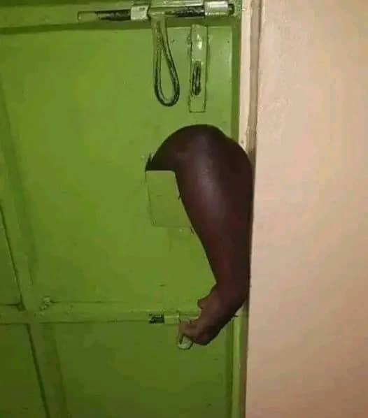 jemo96298237231's tweet image. It happens that your inside the house, pick one tool en hint this idiot
