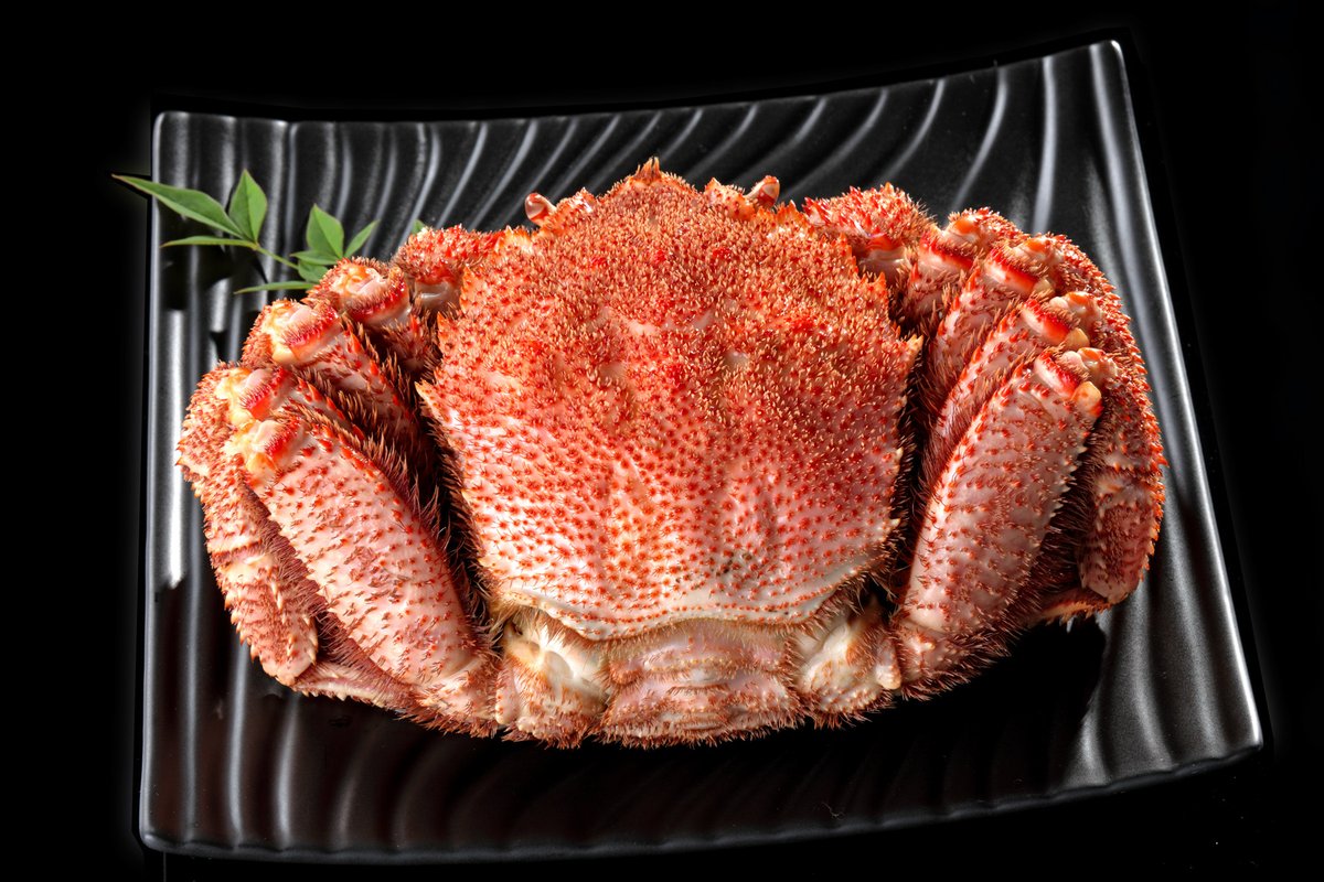 G taste ライター　瀬能明日香 jp/瀬能 明日香 | G-taste