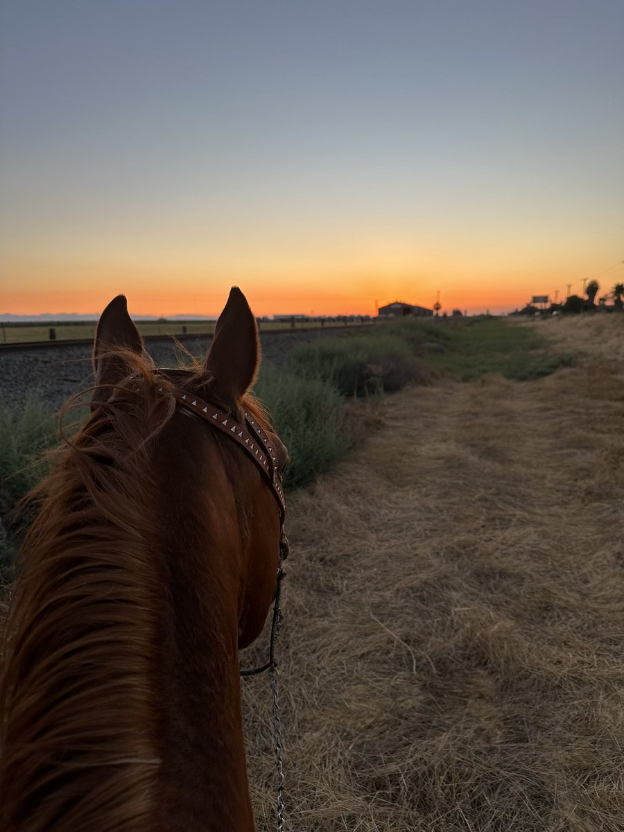 cdro_fadez's tweet photo. You can’t beat evenings like these https://t.co/mqXicPEUh5