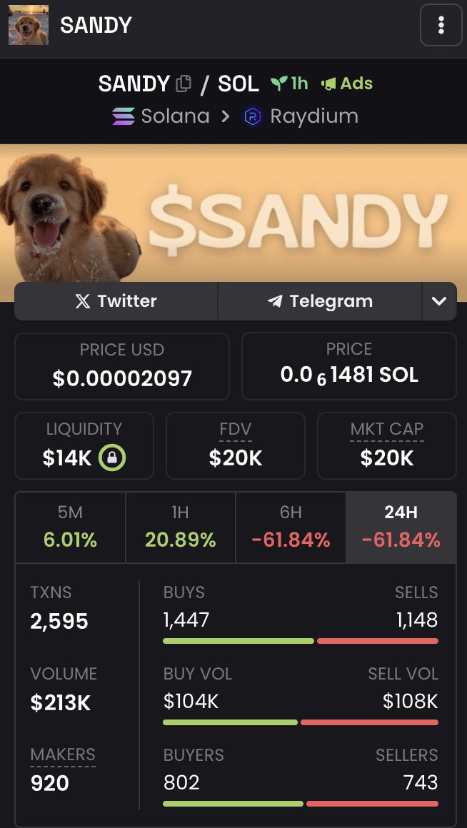 SandyCTO tweet media